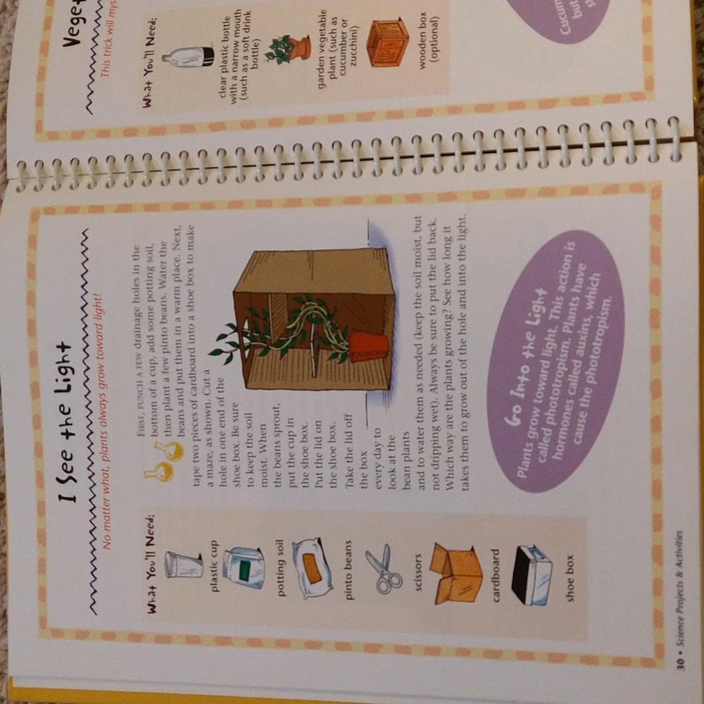 Science Project and Activities - Picture 5 of 6
